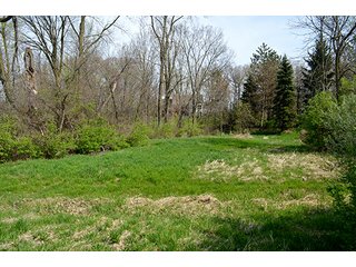 Property photo 112 - REAL ESTATE & PERSONAL PROPERTY AUCTION - 23.5+/- ACRES OFFERED IN 3 TRACTS OR COMBINATIONS IN EAST ALLEN COUNTY